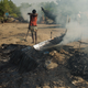 The collected plant matter is heated in what looked like corrugated tin sheets to loosen the oil.